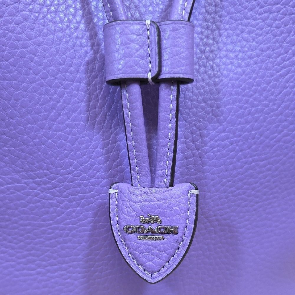 Coach Rowan Bucket Bag and Zipper Pouch - Picture 5 of 14